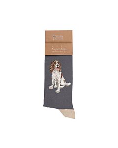 Wrendale Designs 'Willow' Spaniel Men's Socks